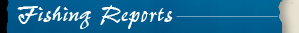 Shark Fishing Reports